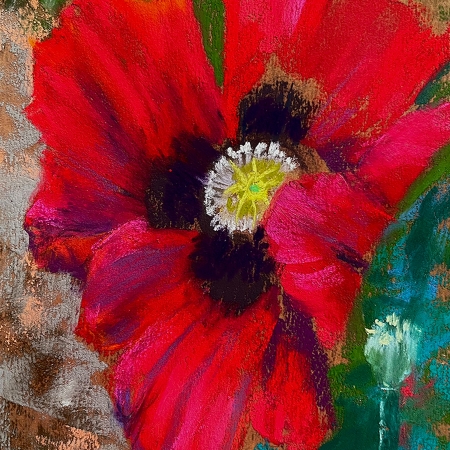 Poppy Portrait by artist Linda Wells